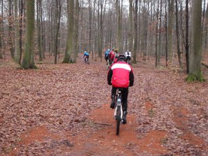 Waldtour 020